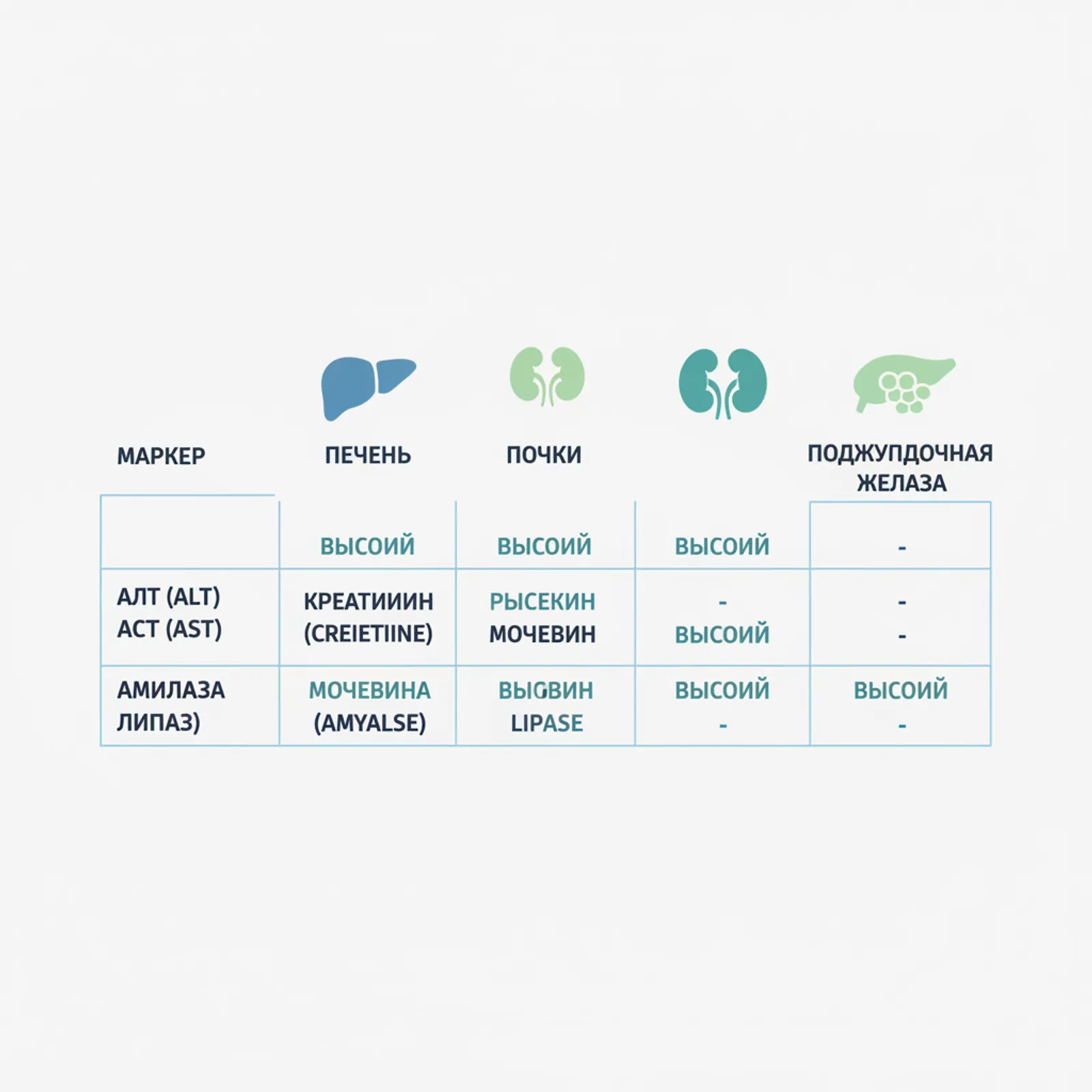 Биохимический анализ крови